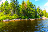 Algonquin Park - Parkside Bay - Small Island
